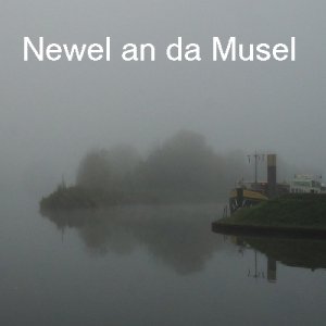 Newel-Cover